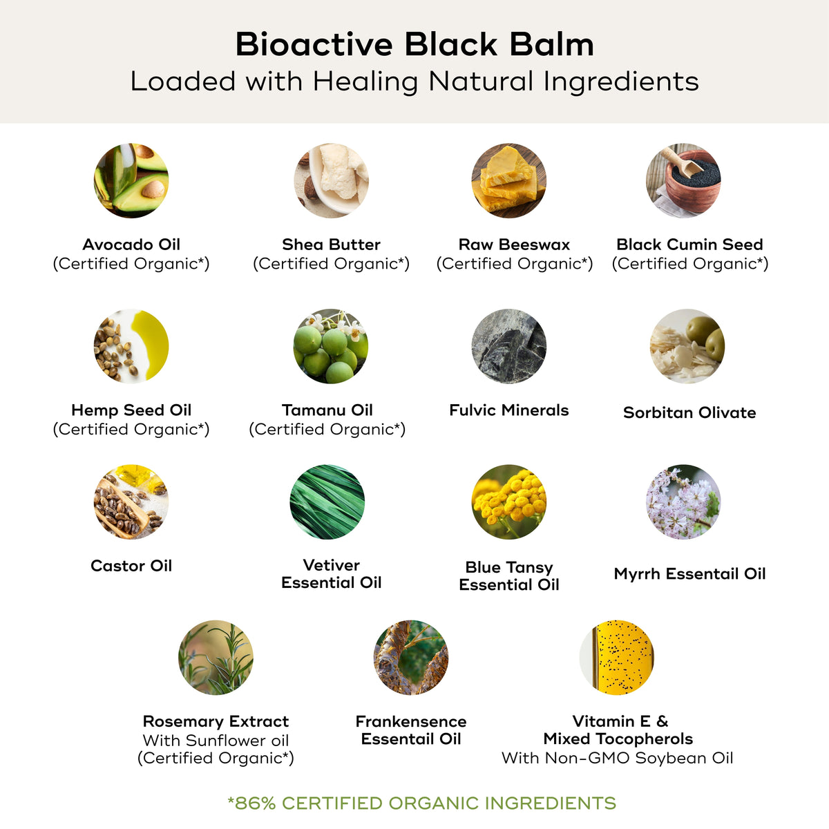 BIOACTIVE BLACK BALM Skin Care Akamai 