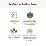 Infographic highlighting benefits of the ORAL CARE ESSENTIALS KIT, featuring tooth whitening, mineral support, toxin absorption, and natural ingredients.